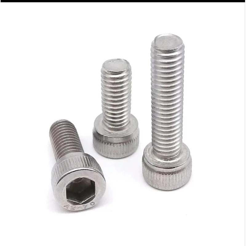 (1pcs) SS304 Baut Socket M10x65
