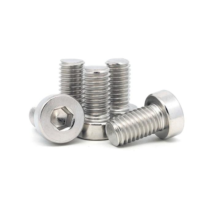(1pcs) SS304 Baut Thin M2x4