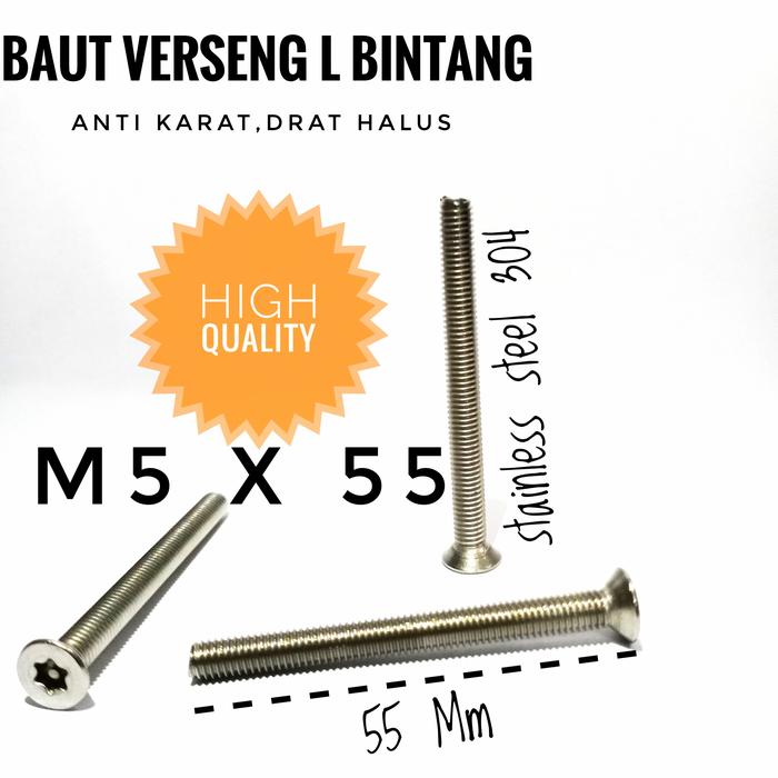 (1pcs) SS304 Baut Verseng Torq w/pin M5x55