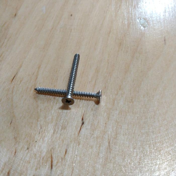 (1pcs) Stainless Steel 304 Sekrup FH Tapping Screw ST2.9x19